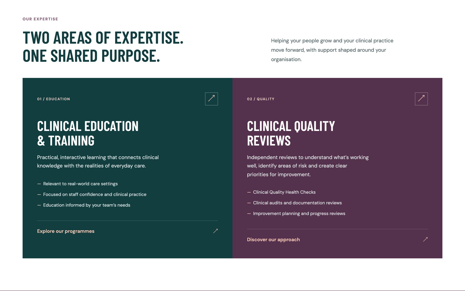 Two areas of expertise — Clinical Education & Training beside Clinical Quality Reviews